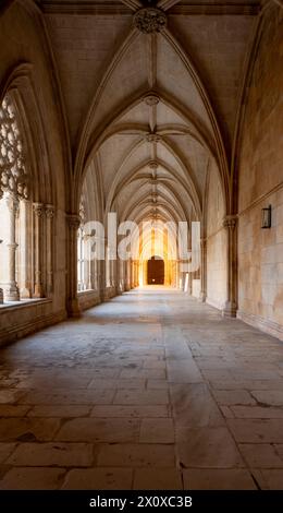 Batalha, Mosteiro da Batalha, Kloster, Kreuzgang Stockfoto