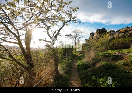 Wandern im Harz die Teufelsmauer bei Neinstedt im Harz, fotografiert am 5. April 2024. Harz Sachsen Anhalt Deutschland Teufelsmauer 001131 *** Wandern im Harz Teufelsmauer bei Neinstedt im Harz, fotografiert am 5. April 2024 Harz Sachsen Anhalt Germany Teufelsmauer 001131 Stockfoto