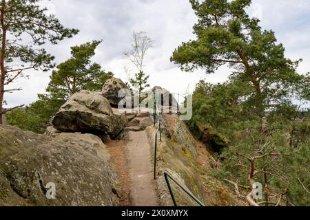 Wandern im Harz die Teufelsmauer zischen dem Felsen Großmutter und dem Felsen Großvater bei Blankenburg im Harz, fotografiert am 5. April 2024. Timmenrode Sachsen Anhalt Deutschland Teufelsmauer 001095 *** Wandern im Harz die Teufelsmauer zwischen der Felsengroßmutter und dem Felsengroßvater bei Blankenburg im Harz, fotografiert am 5. April 2024 Timmenrode Sachsen Anhalt Germany Teufelsmauer 001095 Stockfoto