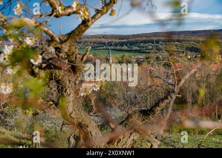 Wandern im Harz Blick von der Teufelsmauer auf die Lindenhofskirche in Neinstedt Harz, fotografiert am 5. April 2024. Neinstedt Sachsen Anhalt Deutschland Teufelsmauer 001138 *** Wandern im Harz Blick von der Teufelsmauer zur Lindenhofskirche im Neinstedt Harz , fotografiert am 5. April 2024 Neinstedt Sachsen Anhalt Deutschland Teufelsmauer 001138 Stockfoto