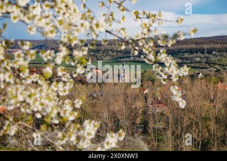 Wandern im Harz Blick von der Teufelsmauer auf die Lindenhofskirche in Neinstedt Harz, fotografiert am 5. April 2024. Neinstedt Sachsen Anhalt Deutschland Teufelsmauer 001146 *** Wandern im Harz Blick von der Teufelsmauer zur Lindenhofskirche im Neinstedt Harz , fotografiert am 5. April 2024 Neinstedt Sachsen Anhalt Deutschland Teufelsmauer 001146 Stockfoto