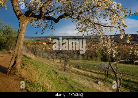 Wandern im Harz Blick von der Teufelsmauer auf die Lindenhofskirche in Neinstedt Harz, fotografiert am 5. April 2024. Neinstedt Sachsen Anhalt Deutschland Teufelsmauer 001141 *** Wandern im Harz Blick von der Teufelsmauer zur Lindenhofskirche im Neinstedt Harz , fotografiert am 5. April 2024 Neinstedt Sachsen Anhalt Deutschland Teufelsmauer 001141 Stockfoto