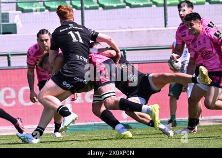 Treviso, Italien. April 2024. Aktionen des Spiels und Bilder der Spieler während des EPCR CHALLENGE CUP Spiels zwischen BENETTON RUGBY und CONNACHT im Monigo Stadium, Italien am 14. April 2024 während Benetton Rugby vs Connacth Rugby, Rugby Challenge Cup Match in Treviso, Italien, 14. April 2024 Credit: Independent Photo Agency/Alamy Live News Stockfoto