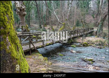 Holzbrücke im Agios Nikolaos Park in Naousa in Mazedonien, Griechenland Stockfoto