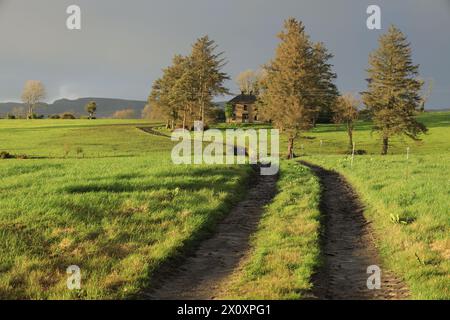 Landschaft im ländlichen County Sligo, Irland, mit einer Landstraße, die von grünen Feldern mit Ackerwiesen umgeben ist und zu einem heruntergekommenen Bauernhaus führt Stockfoto