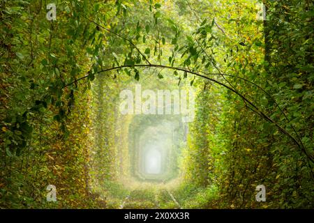 Sonniger Sommertag in der Region Rivne der Ukraine. Tunnel der Liebe in Klevan. Romantischer grüner Zweig. Laubwald und alte Bahngleise Stockfoto