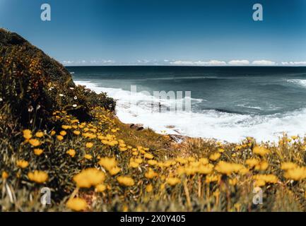 Landschaft Natur der Klippen mit Meer am Royal National Park Coastal Walk in Sydney NSW Australien - Naturwanderweg ab Wattamolla. Unterwegs im Freien Stockfoto