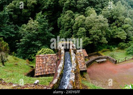 Parque Natural da Ribeira dos Caldeiroes auf der Insel Sao Miguel, Azoren, Portugal Stockfoto