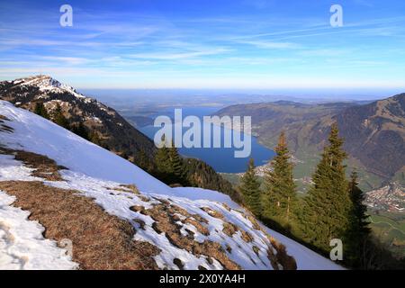 Blick auf den Zugersee vom Gipfel des Rigi Scheidegg. Schweizer Alpen, Schweiz, Europa. Stockfoto