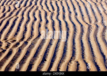 Nahaufnahme der Wellen oder Wellen, die an einem Sandstrand nach der Flut hinterlassen wurden, hervorgehoben durch das Licht einer niedrigen Wintersonne. Stockfoto