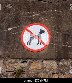 Keine Hunde und Haustiere, kreisförmiges Schild an einer Steinmauer Stockfoto