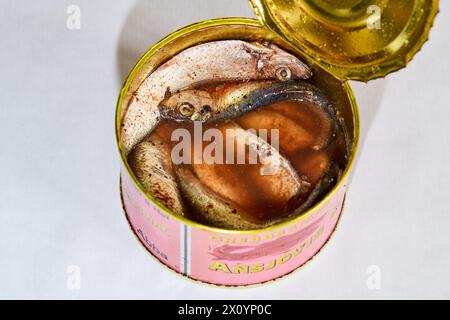 Grebbestads Ansjovis Original, 450 g; schwedische Sardellen (z.B. Sprossen), offene Dose Stockfoto