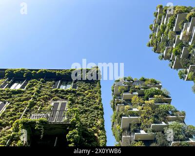 Blick auf die Balkone und Terrassen von Bosco Verticale, voller grüner Pflanzen. Frühlingszeit. 04-11-2024. Mailand, Porta Nuova Wolkenkratzer Residenzen, Italien Stockfoto