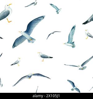 Nahtloses Muster mit dem Fliegen im Himmel Möwen in Aquarell isoliert auf weißem Hintergrund. Handgezeichnete Illustration zum Thema Seefischerei. Chil Stockfoto