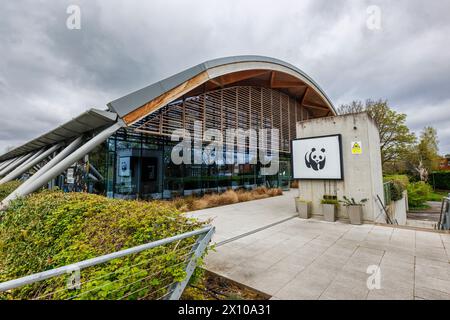 Das Modern Architecture World Wide Fund for Nature (WWF) Hauptquartier, das Living Planet Centre, im Zentrum von Woking, einer Stadt in Surrey, England Stockfoto