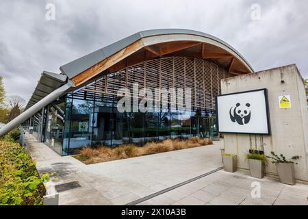 Das Modern Architecture World Wide Fund for Nature (WWF) Hauptquartier, das Living Planet Centre, im Zentrum von Woking, einer Stadt in Surrey, England Stockfoto