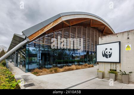 Das Modern Architecture World Wide Fund for Nature (WWF) Hauptquartier, das Living Planet Centre, im Zentrum von Woking, einer Stadt in Surrey, England Stockfoto