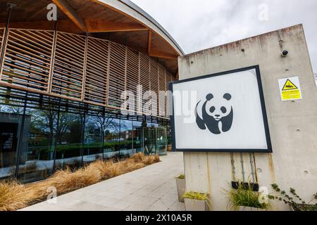 Das Modern Architecture World Wide Fund for Nature (WWF) Hauptquartier, das Living Planet Centre, im Zentrum von Woking, einer Stadt in Surrey, England Stockfoto