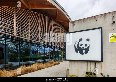 Das Modern Architecture World Wide Fund for Nature (WWF) Hauptquartier, das Living Planet Centre, im Zentrum von Woking, einer Stadt in Surrey, England Stockfoto