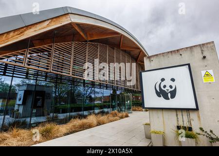 Das Modern Architecture World Wide Fund for Nature (WWF) Hauptquartier, das Living Planet Centre, im Zentrum von Woking, einer Stadt in Surrey, England Stockfoto