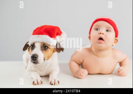 Süßer kleiner Junge und Jack Russell Terrierhund in santa-Hüten auf weißem Hintergrund. Stockfoto