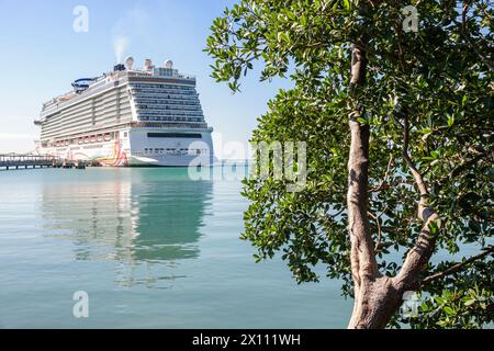 Harvest Caye Island Belize, Norwegian Joy Cruise Line Schiff, 7-tägige Karibikroute, privates Privateigentum, Dock Pier, Mangrovenbaum, Besucher Vis Stockfoto