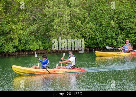 Harvest Caye Island Belize, Norwegian Joy Cruise Line Schiff, 7-tägige Karibikroute, privat in Privatbesitz, Salzwasserlagune, Vater Sohn Paddeln, c Stockfoto