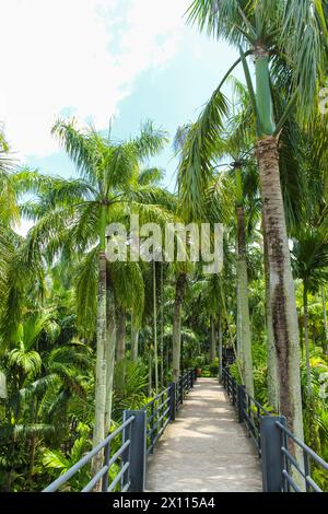 Nongnooch Garden, die Weltklasse der eleganten tropischen botanischen Gartensammlung internationaler Pflanzen in 50 Naturgärten in Pattaya, Chonburi, Stockfoto