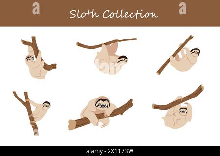 Faultier-Cartoon-Vektor-Illustration. Niedliches Faultier in verschiedenen Haltungen und Haltungen. Stock Vektor