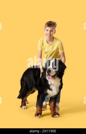 Kleiner Junge mit Berner Berghund auf gelbem Hintergrund Stockfoto
