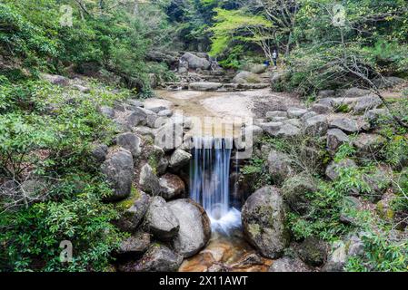 Ein kleiner Wasserstrom fließt durch ein felsiges Gebiet. Die Felsen sind in der Gegend verstreut und das Wasser ist kristallklar. Die Szene ist friedlich Stockfoto