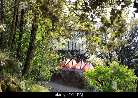 Modernes Troglodyte-Haus auf der Spitze der Klippe in der Nähe des Château fort de Beynac in Périgord Noir. Oben im Haus, Glasdach, fischförmiges Dach Stockfoto