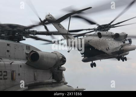 Ein CH-53E Super Hengst der Marine Heavy Helicopter Squadron 461 (verstärkt), 22nd Marine Expeditionary Unit nimmt die erste Gruppe von Marines für ihre Mission nach Haiti am 19. Januar 2010. Stockfoto