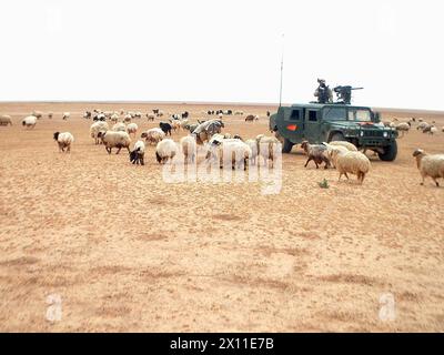 Soldaten der C-Kompanie, 2. Bataillon, 124. Infanterieregiment, mit dem 53. Infanterie-Brigade-Kampfteam, sprechen im April 2003 mit einem lokalen Bauern im Irak. Stockfoto