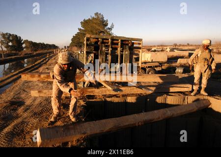 Afghanistan: CPL. James A. Pabey, ein Kraftverkehrsunternehmen der Alpha Company, 2. CEB, entlädt Bauholz, das benötigt wird, um ein Dach auf einem Beobachtungsposten auf der Route Cowboys, Provinz Helmand, Afghanistan, 7. Januar 2010 zu bauen. Während des Einsatzes auf der Route Cowboys baute die 2. CEB drei Beobachtungsposten. Stockfoto