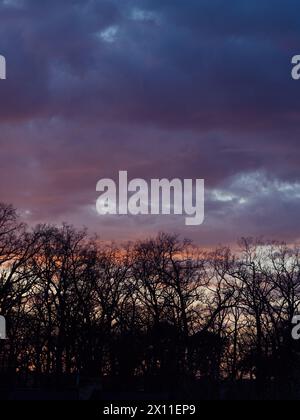 Vertikales Panorama eines Waldes und farbenfroher Himmel während des Sonnenuntergangs. Stockfoto