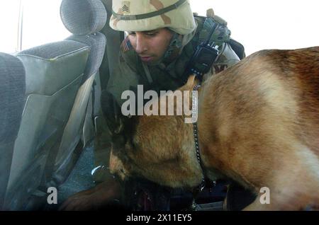 (LOGISTIKBEREICH ANACONDA, Balad, Irak) - Sgt. Carlos Aviles, ein Hundeführer des 95. Militärpolizeibataillons, und Sonya, sein Hundepartner, ein 9-jähriger belgischer Malinois, der ausgebildet ist, Sprengstoff zu schnüffeln, suchen ein Fahrzeug nach möglichen Schmuggelware. August 2004 Stockfoto