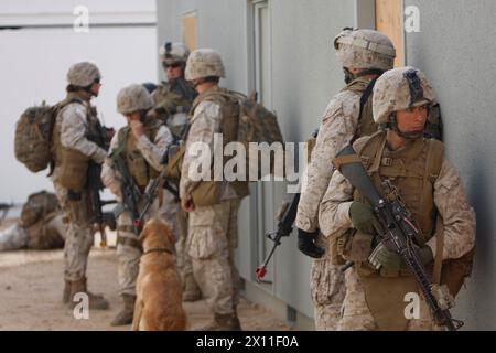 Marines mit Kompanie K, 3. Bataillon, 1. Marine-Regiment, vom Marine Corps Base Camp Pendleton, Kalifornien, zusammen mit einem militärischen Arbeitshund namens Thor stapeln sich vor einem Gebäude am 31. Januar 2010 im Combat Center Range 220. Die Hundeführer wurden von der Einheit ausgebildet und werden im Frühjahr mit ihrem Bataillon eingesetzt. Stockfoto