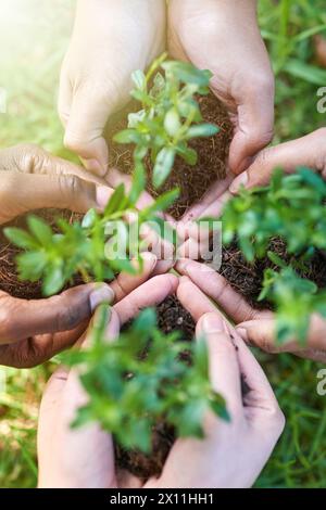 Hände, Menschen und Setzlinge im Boden für Wachstum, umweltfreundlich und Keime für den Klimawandel im Freien. Nahaufnahme, Setzling und Pflanze für die Ökologie in Stockfoto