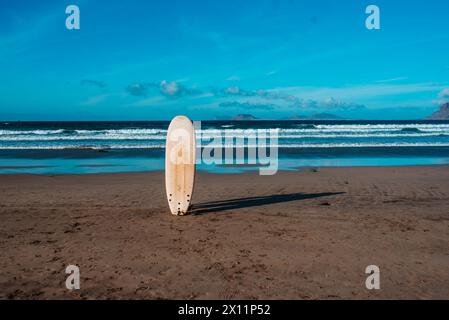 Surfen Sie im Sand an einem sonnigen Strand bei Sonnenuntergang. Stockfoto