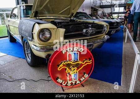 © Arnaud BEINAT/Maxppp. 14.04.2024, Metz, Lorraine, Grand EST, Frankreich. Alignement de Ford Mustang de Collection vu durant le Salon Metz Auto Passion qui s'EST tenu à Metz (Moselle, Grand EST) les 13 et 14 avril 2024. ENGLISCHE BILDUNTERSCHRIFT : Linie des alten Ford Mustang, die während der Metz Auto Passion Ausstellung, die in der französischen Stadt Metz (östlich von Frankreich) am 13. Und 14. April 2024. Quelle: MAXPPP/Alamy Live News Stockfoto