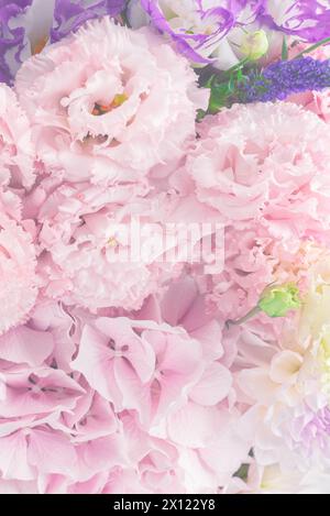 Rosa und lila Blumenstrauß in einer rosa Box isoliert auf weißem Hintergrund. Stockfoto