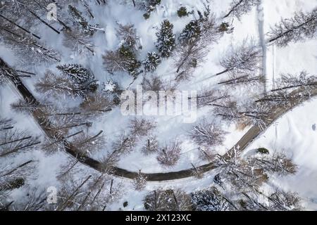 Blick aus der Vogelperspektive auf den Maloja-Pass, der mit Schnee bedeckt ist. Maloja, Bregaglia, Kanton Graubünden, Engadin, Schweiz. Stockfoto