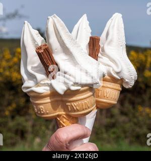 Zwei doppelte whippy 99-Eiscreme-Cornets als Leckerbissen an einem warmen Frühlingstag Stockfoto