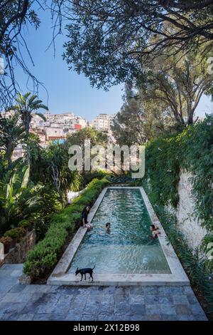 Gäste können sich im Mimi Calpe, einer französischen Luxusvilla und einem Hotel aus den 1950er Jahren in Tanger, Marokko, am Pool auf der Terrasse entspannen Stockfoto