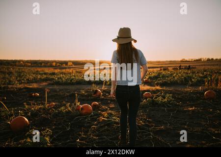 Der Rücken einer rothaarigen Frau mit Blick auf den Sonnenuntergang in einem Kürbisfeld Stockfoto