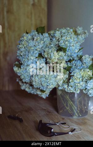 Blaue und gelbe Hortensien blühen Stockfoto