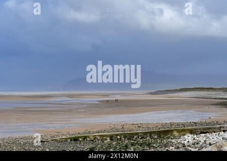 West Shore, Walney Island, Barrow-in-Furness, Cumbria, Großbritannien, April 2024. Wetter: Wild und windig im Nordwesten Englands mit einer Wetterwarnung anstelle von starken Winden und Stürmen. Zwei Menschen trotzen den Bedingungen, um einen Hund auf dem weitläufigen Sand zu trainieren, hinter dem sich der Black Combe Berg erhebt. Quelle: Paul Biggins/Alamy Live News Stockfoto