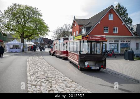 Am Fischmarkt in Zingst wartet die Darßbahn auf seine nächsten Gäste. Deutschland, Zingst, Fischland Darß, Ostsee, Mecklenburg-Vorpommern, MV, Reise, Urlaub, Tourismus *** die Darßbahn erwartet ihre nächsten Gäste auf dem Fischmarkt in Zingst GER, Zingst, Fischland Darß, Ostsee, Mecklenburg-Vorpommern, MV, Reise, Urlaub, Tourismus Stockfoto