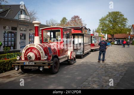 Am Fischmarkt in Zingst wartet die Darßbahn auf seine nächsten Gäste. Deutschland, Zingst, Fischland Darß, Ostsee, Mecklenburg-Vorpommern, MV, Reise, Urlaub, Tourismus *** die Darßbahn erwartet ihre nächsten Gäste auf dem Fischmarkt in Zingst GER, Zingst, Fischland Darß, Ostsee, Mecklenburg-Vorpommern, MV, Reise, Urlaub, Tourismus Stockfoto